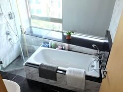 Lush On Holland Hill (D10), Condominium #553613421
